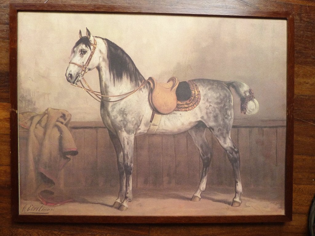 Het Lippizaner paard van Otto Eerelman, Ophalen of Verzenden, Lithografie, Dieren en Natuur, Gesigneerd in de plaat
