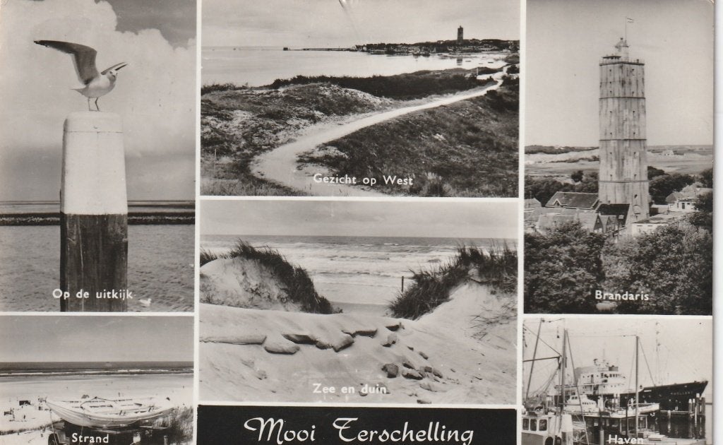 TERSCHELLING Meeuw West Duin Brandaris, Verzenden, 1960 tot 1980, Gelopen, Waddeneilanden