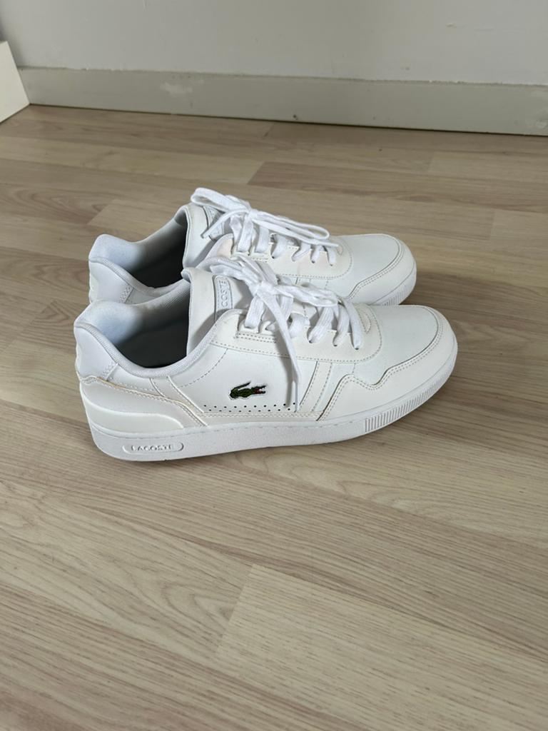 Lacoste T-clip schoenen wit, Ophalen, Wit, Sneakers of Gympen, Zo goed als nieuw