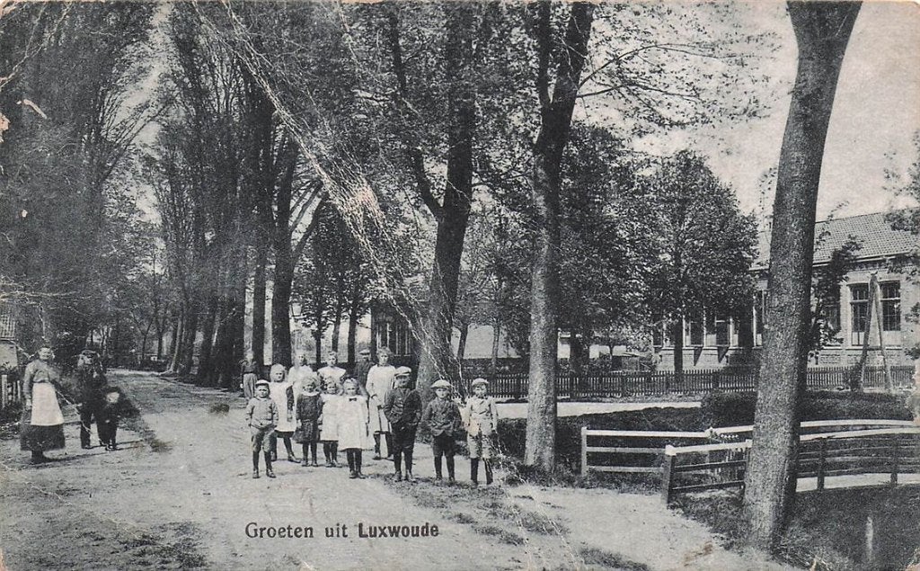 702-116-013 Groeten Uit Luxwoude, Verzenden, Voor 1920, Friesland