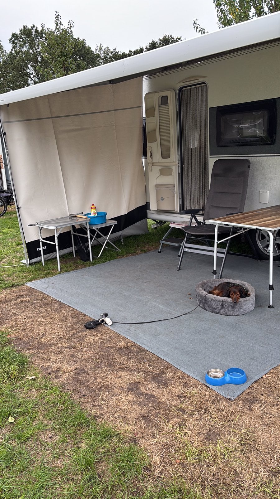 Thule vieuwblocker.Uitval 2.50 Maat medium.met rafter, Ophalen, Zo goed als nieuw