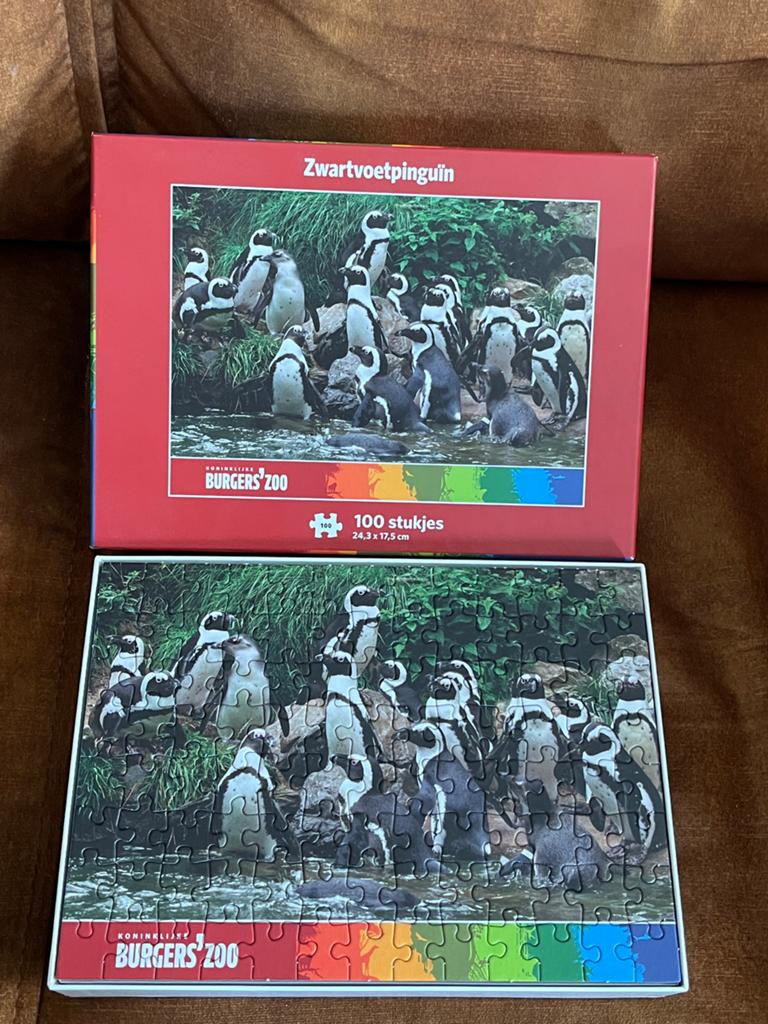 Zwartvoetpinguïn Legpuzzel - Burgers' Zoo (100 stukjes), Ophalen of Verzenden, Minder dan 500 stukjes, Gebruikt, Legpuzzel