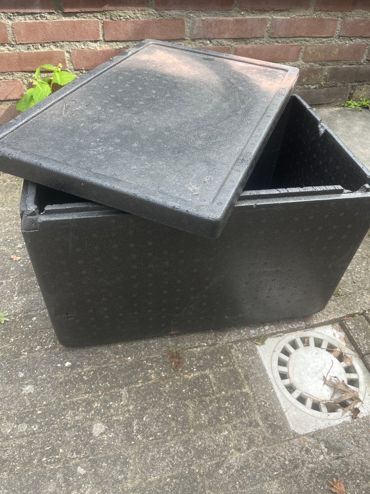 Koelkrat, Ophalen, Gebruikt, Koelbox, Koelelement