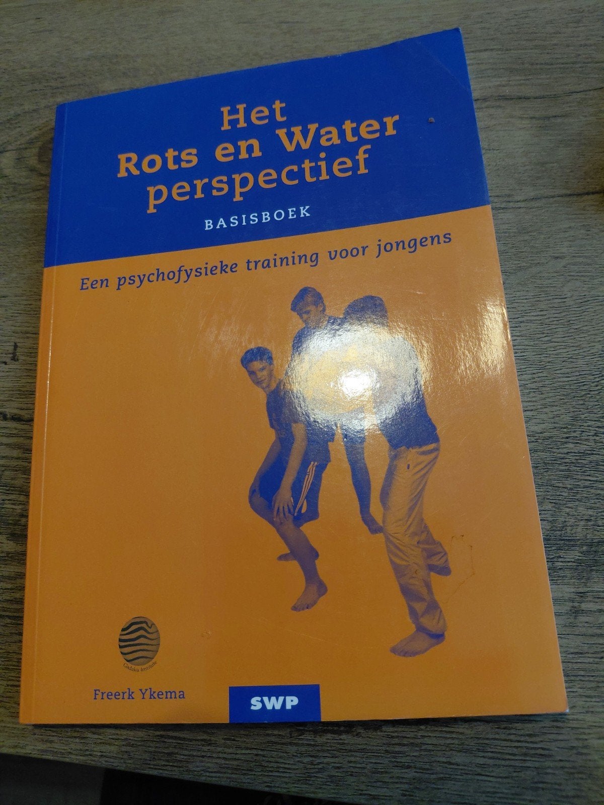 F. Ykema - Het Rots & water-perspectief, Sociale wetenschap, F. Ykema, Ophalen of Verzenden, Zo goed als nieuw