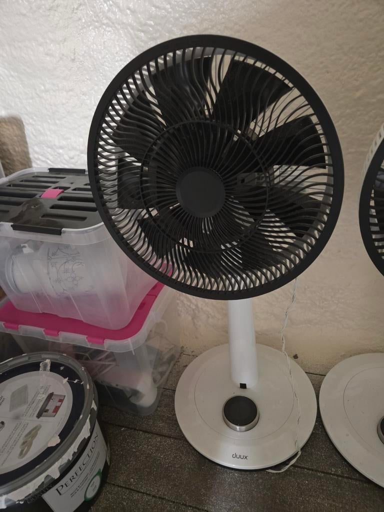 Duux Ventilator whisper, Witgoed en Apparatuur, Ventilatoren, Ophalen, Zo goed als nieuw, Vloerventilator
