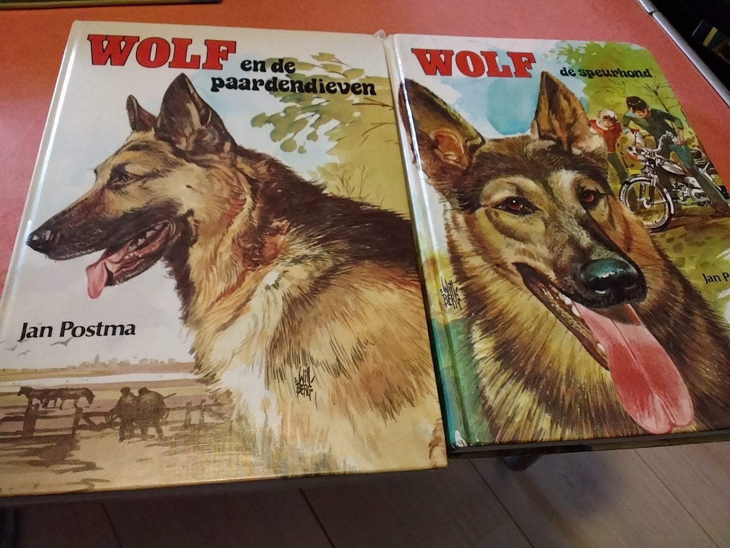 Jan postma wolf de hond nu €:2.50 perstuk, Boeken, Ophalen of Verzenden, Gelezen