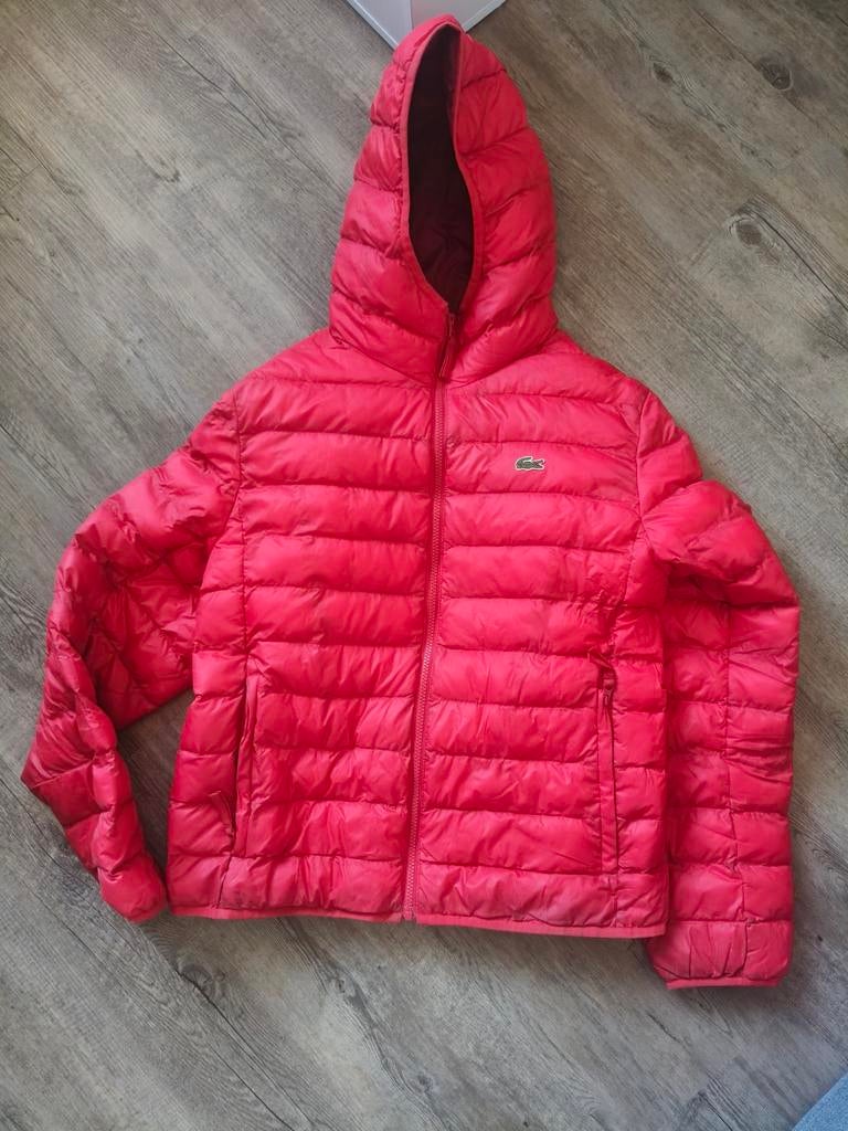 Lacoste winterjas heren - Rood, Kleding | Heren, Jassen | Winter, Maat 48/50 (M), Lacoste, Ophalen of Verzenden, Gedragen