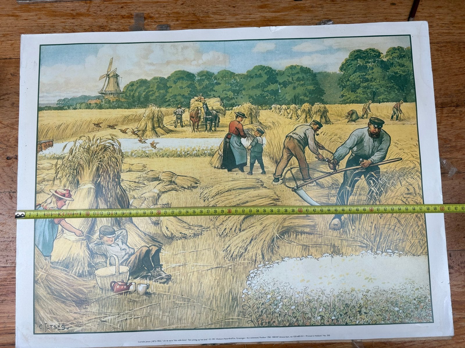 Oude schoolplaat: Het volle leven - Een julidag op het land, Ophalen of Verzenden, Geschiedenis