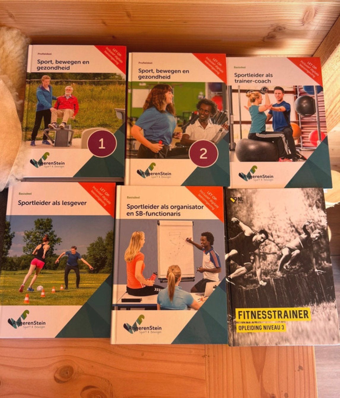 Schoolboeken sport en bewegen, Boeken, Ophalen of Verzenden, Nieuw, Overige niveaus