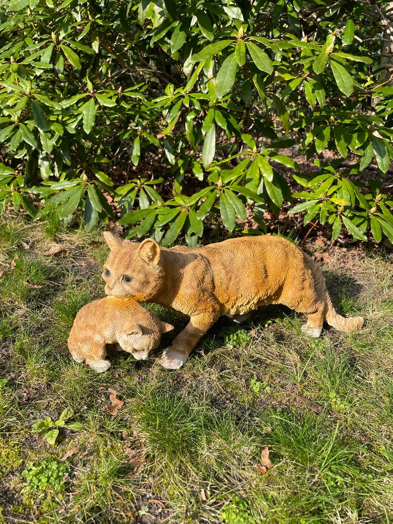 Poes, kat, bruin, tuin, gazon, kitten, boerderij 50cm, Tuin en Terras, Tuinbeelden, Ophalen of Verzenden, Nieuw, Kunststof, Dierenbeeld