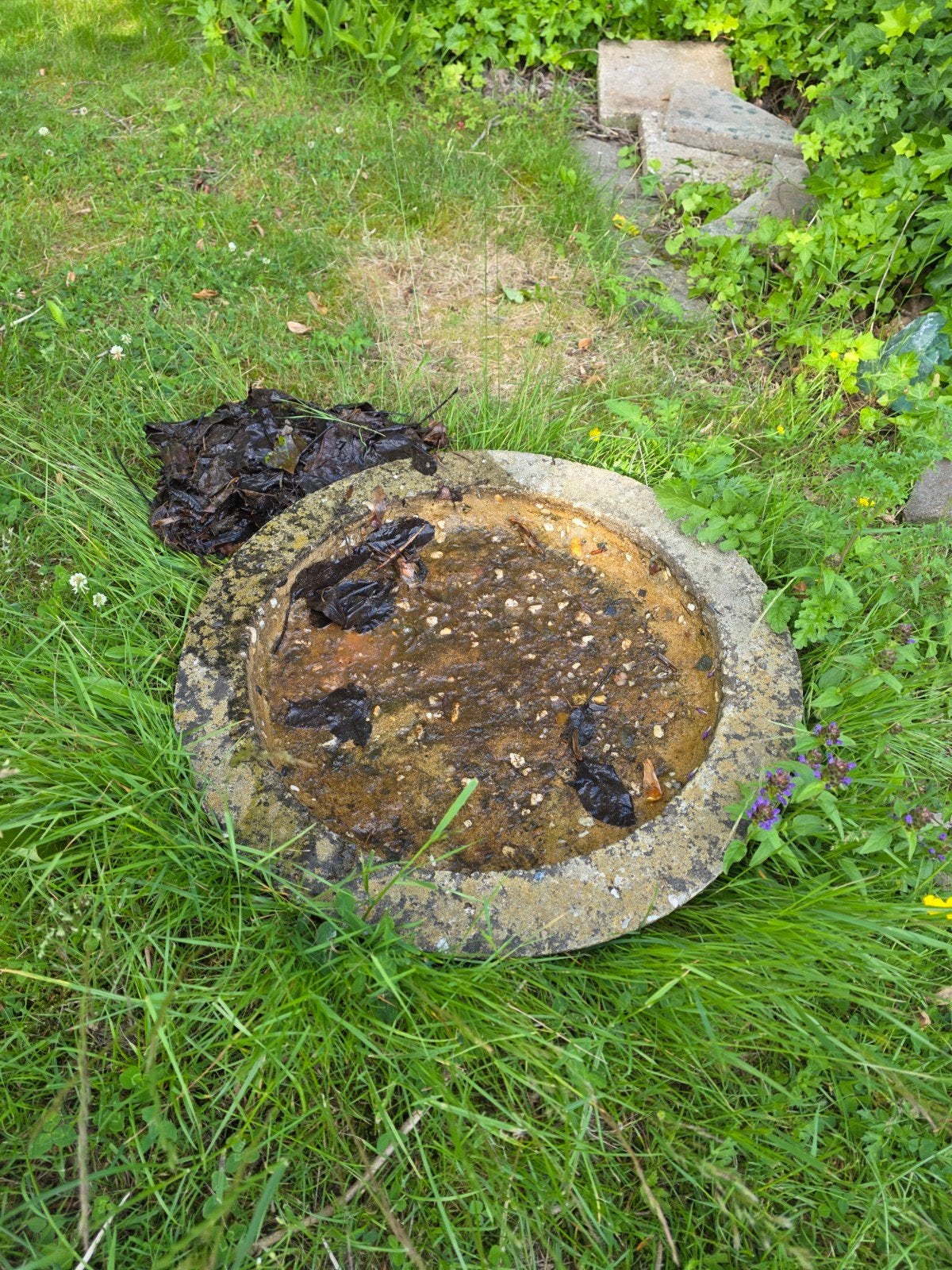 Grote drinkschaal voor vogels - diameter 60 cm, Ophalen, Gebruikt