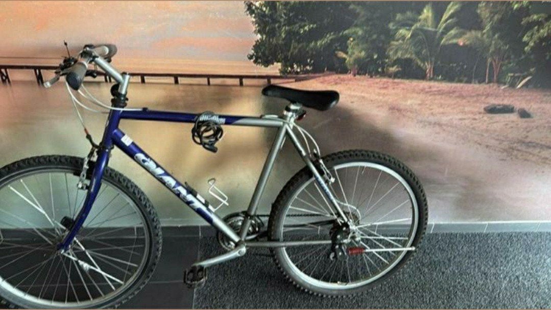 Giant mountainbike in goede staat 21 versnellingen, Fietsen en Brommers, Fietsen | Mountainbikes en ATB, Ophalen, Gebruikt, Giant