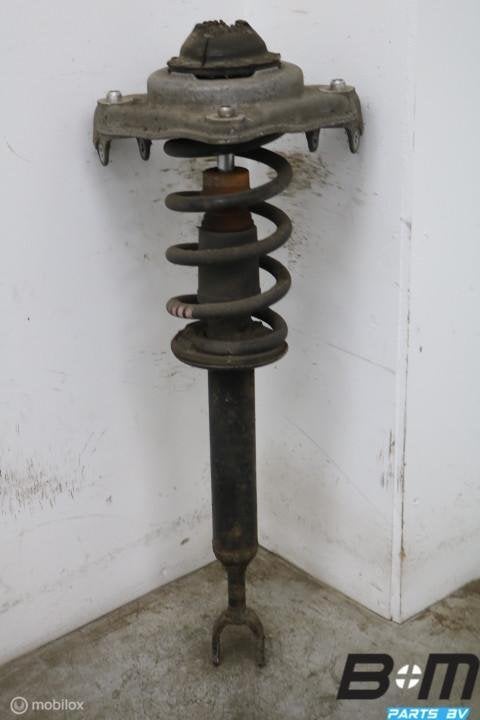 Veerpoot voor kan L en R Audi A6 4F 4F0413031BR, Gebruikt