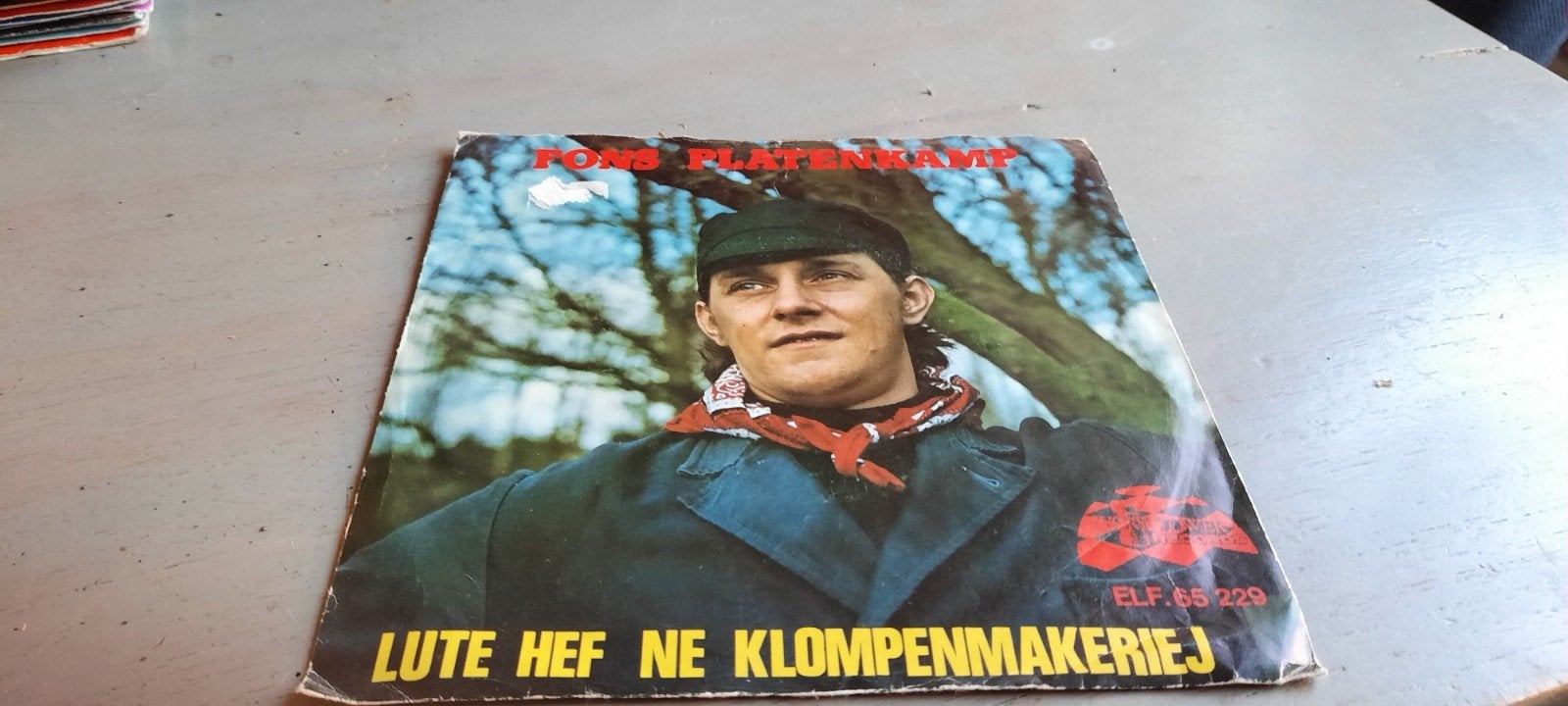 Fons platenkamp, Cd's en Dvd's, Vinyl | Nederlandstalig, Ophalen of Verzenden, Gebruikt, Overige formaten, Levenslied of Smartlap