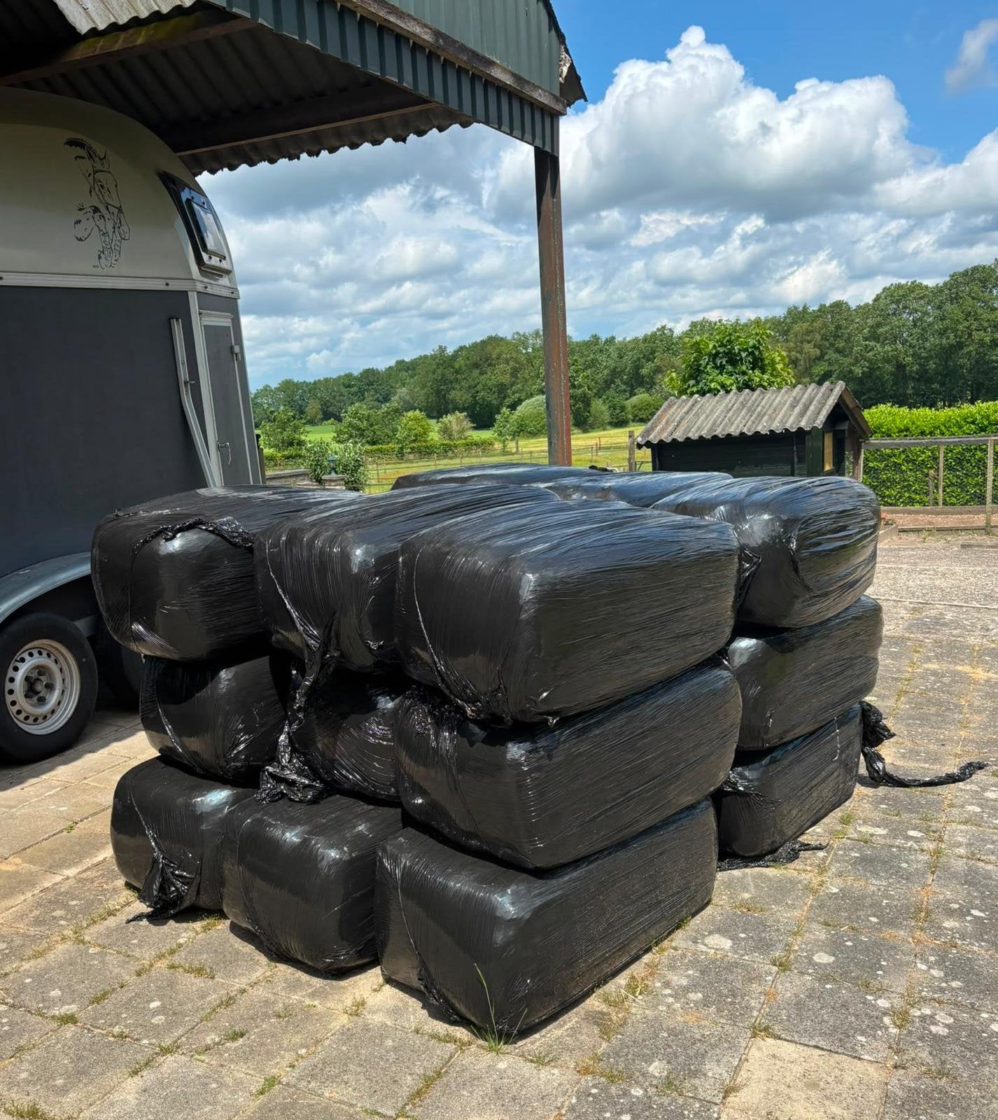 Te koop paardenhooi in kleine balen., Ophalen of Verzenden