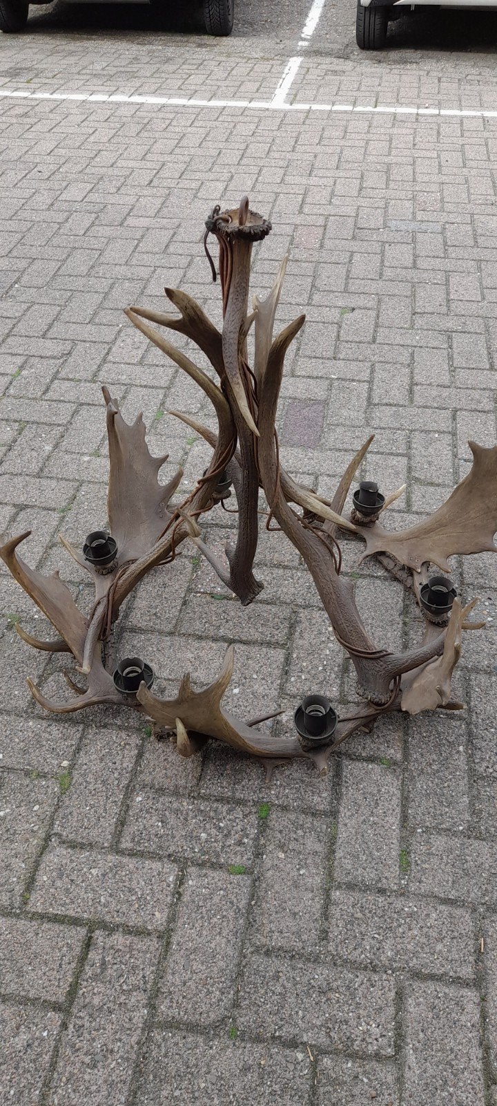 Kroonluchter van hertengewei, Ophalen, Gebruikt, Natuurlijk materiaal, E27 (groot)