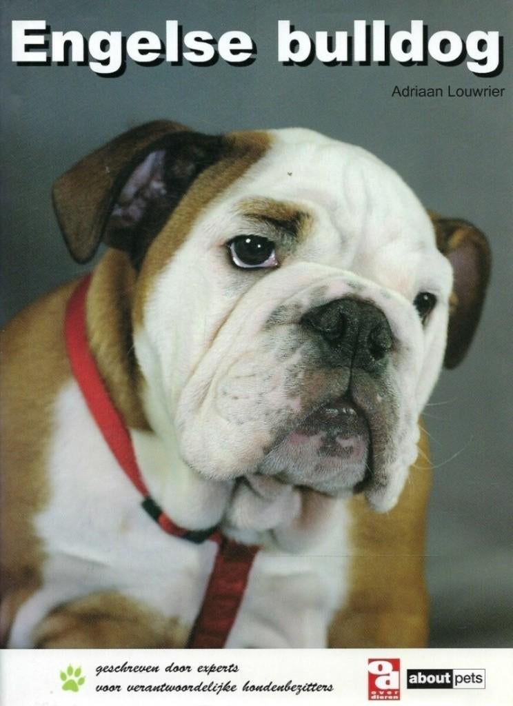 DE ENGELSE BULLDOG BOEKWERK, Ophalen of Verzenden, Nieuw, Honden
