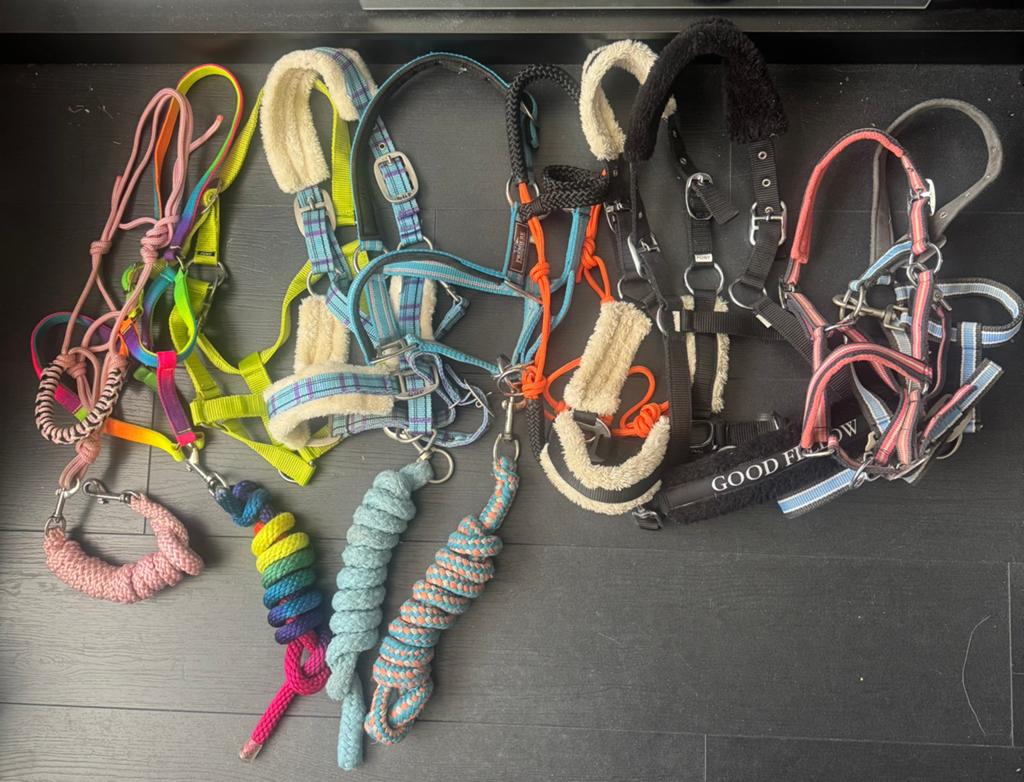 Halsters, Dieren en Toebehoren, Ophalen of Verzenden, Zo goed als nieuw, Overige soorten