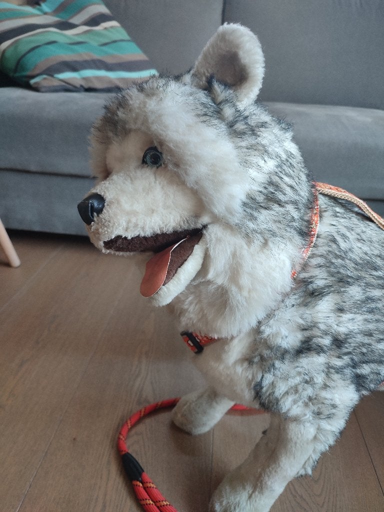 Pluche husky, Ophalen, Gebruikt, Overige karakters, Overige typen