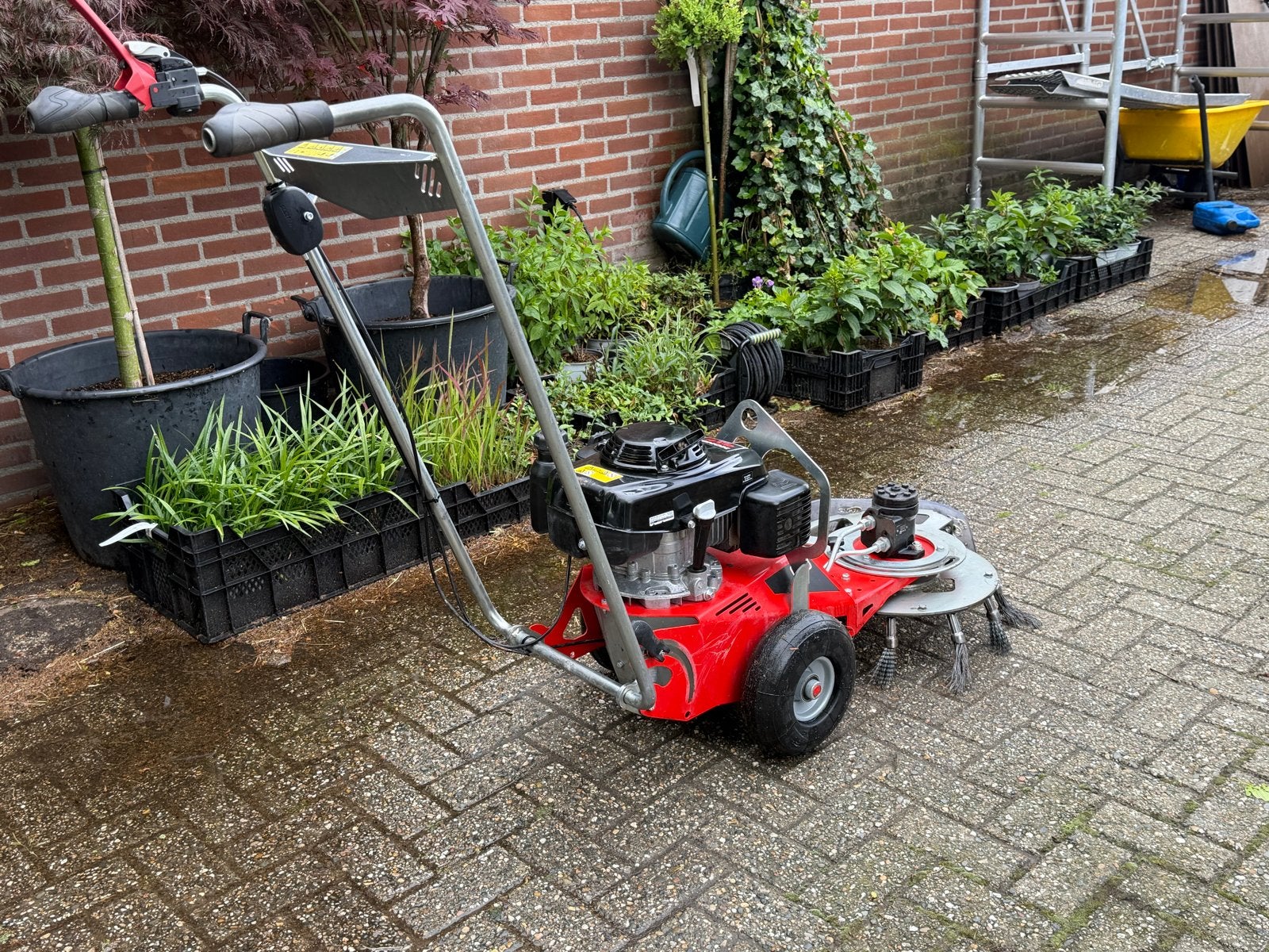 Nimos MUG-C Onkruidborstelmachine - Honda GXV 160 Motor, Ophalen, Cirkelmaaier, Gebruikt, Benzine-grasmaaier