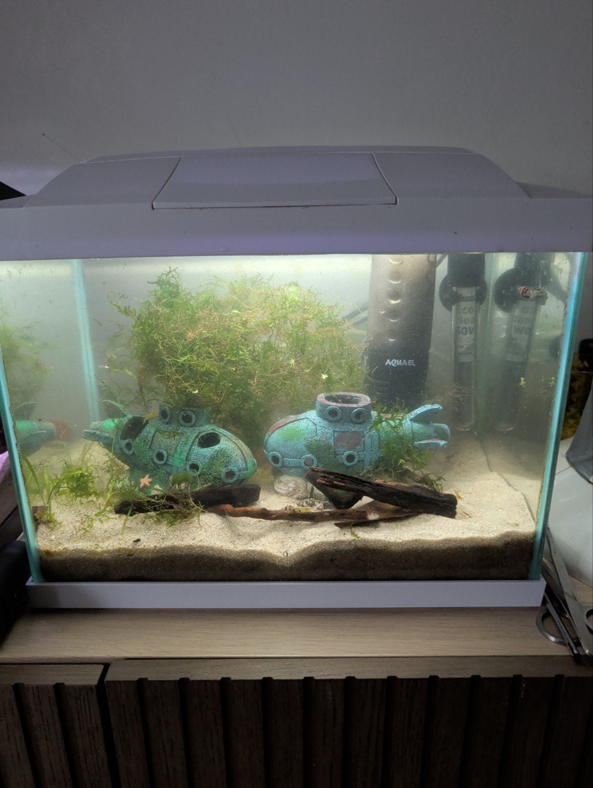 Mooi garnalen aquarium compleet, Ophalen, Zo goed als nieuw, Gevuld zoetwateraquarium