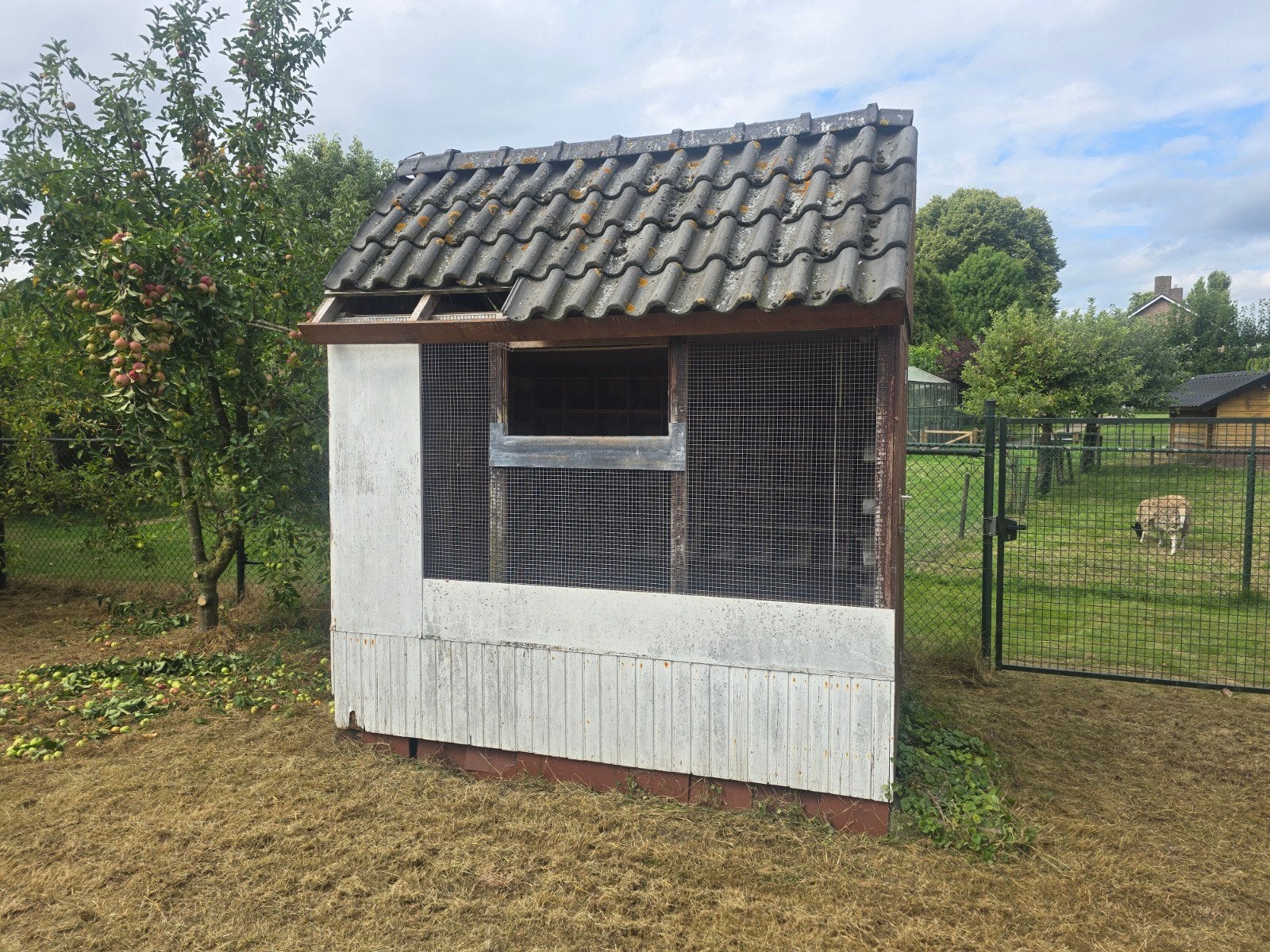 Duiven hok, Ophalen, Gebruikt, Hout, Volière