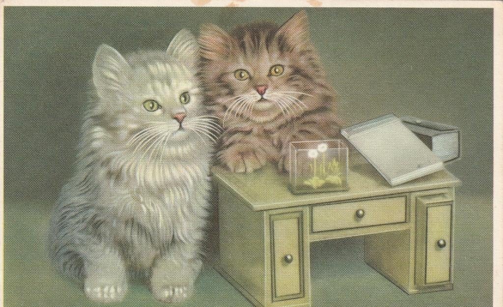 prentkaart poesje, Verzenden, Voor 1920, Sterren en Beroemdheden