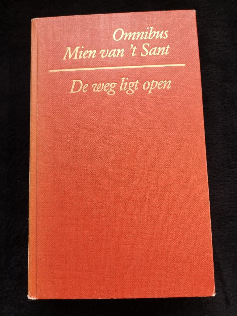 Mien van 't Sant, De weg ligt open, Boeken, Streekboeken en Streekromans, Ophalen of Verzenden, Gelezen