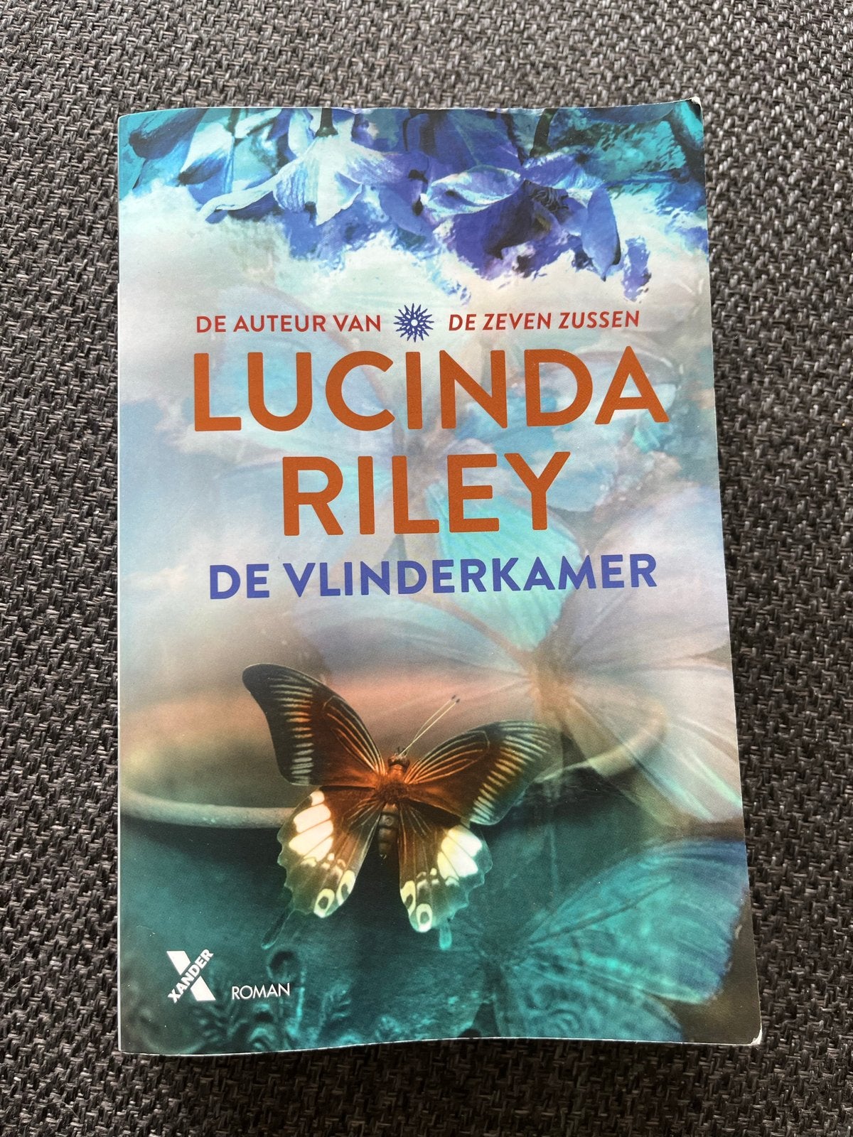 Lucinda Riley - De Vlinderkamer, Boeken, Romans, Ophalen of Verzenden, Zo goed als nieuw, Europa overig