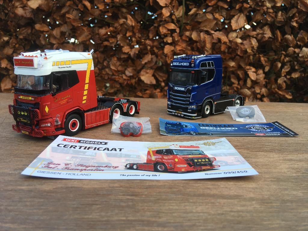 WSI DAF XG Jan C Swijnenburg en 1 model Geelhoed prijs incl, Nieuw, Ophalen of Verzenden, WSI, Grominia@xs4all.nl
