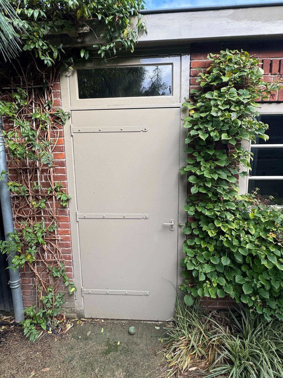 Hardhouten deur 94x205x4 cm, Ophalen, Gebruikt, 80 tot 100 cm, Buitendeur