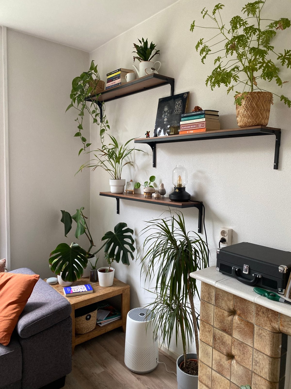 Ikea FJALLBO planken - 101x20cm, Ophalen, Gebruikt