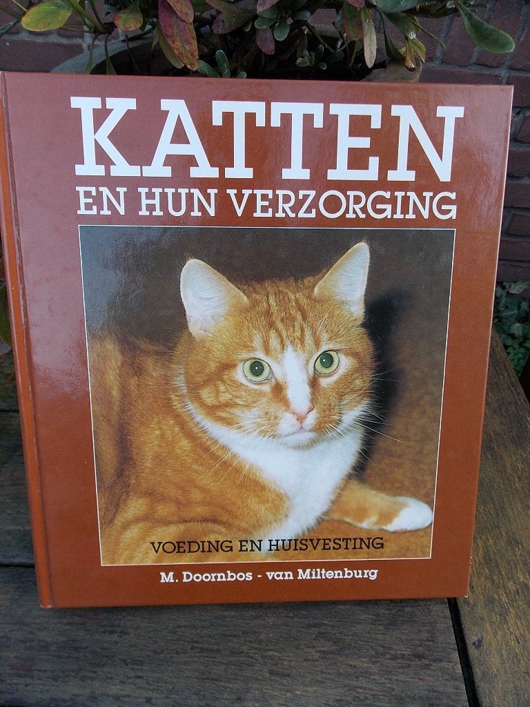 Katten en hun verzorging - Boek over katten, Gelezen, M. Doornbos - van Miltenburg, Ophalen of Verzenden, Katten