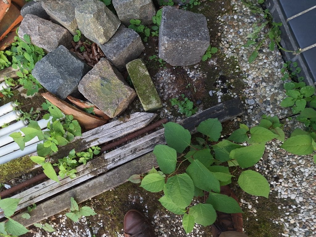Gebruikte natuurstenen keien voor tuin of bestrating, Tuin en Terras, Ophalen, Gebruikt, Dolomiet, Kei