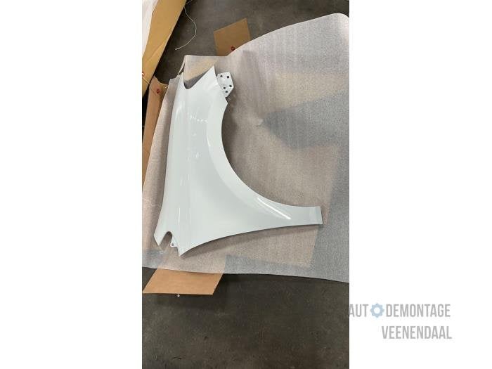 Scherm links-voor van een Volkswagen Polo (LC9A), -, Volkswagen, -, Nieuw