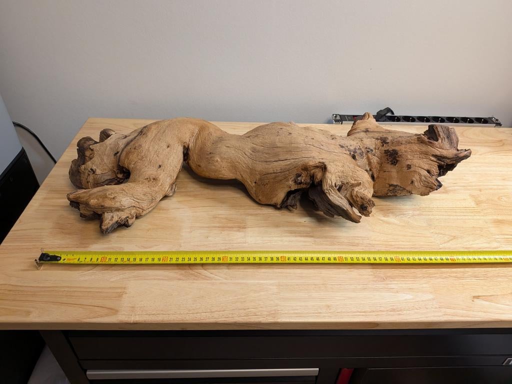 Extra large Mopani Driftwood for Aquascaping, Ophalen, Nieuw, Plant(en), Steen of Hout