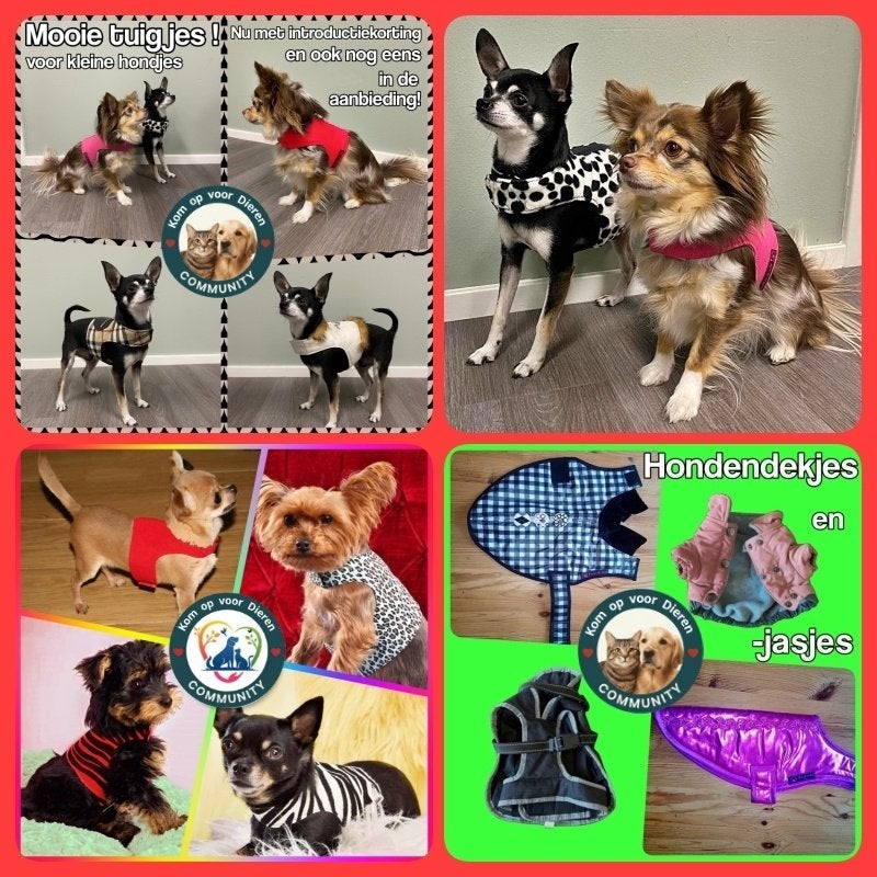 Hondenjasje, truitje, dekje, tuigje en andere artikelen hond, Ophalen of Verzenden, Nieuw, Overige hondenkleding, Handgemaakt