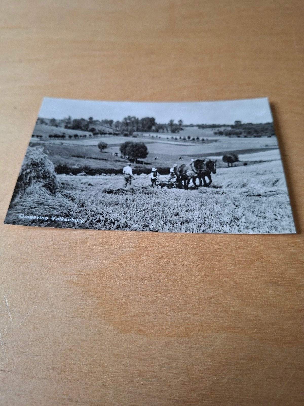 boerenleven omgeving Valkenburg, Verzamelen, Ophalen of Verzenden, 1960 tot 1980, Ongelopen, Limburg