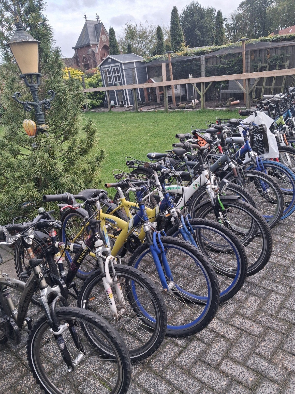 Partij batavus Snake , alpina en gazelle jongensfietsen. ., Ophalen, Gebruikt