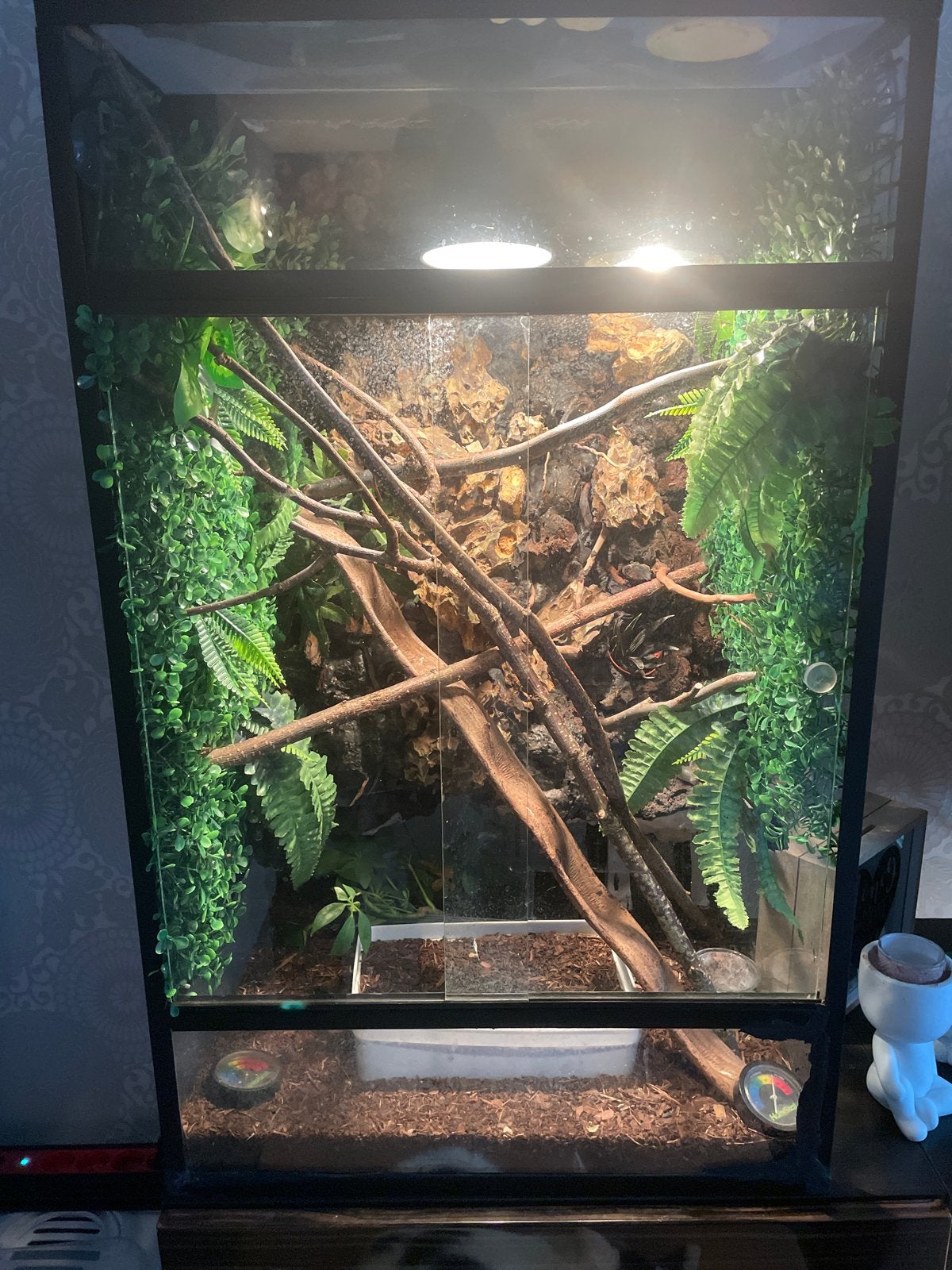 Terraium hoog 80 breed 50 diep 40, Ophalen, Gebruikt, Terrarium of Paludarium