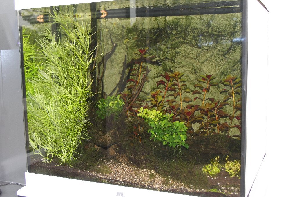 Juwel Lido 200 Aquarium | Compleet Startpakket, Ophalen, Zo goed als nieuw, Leeg aquarium