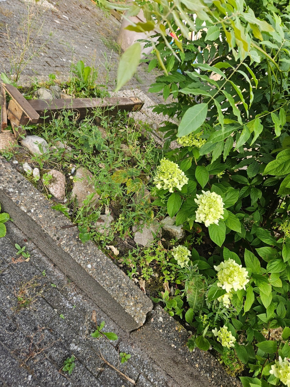 Heel veel keien gratis af te halen, Tuin en Terras, Ophalen, Gebruikt, Beton, Overige typen