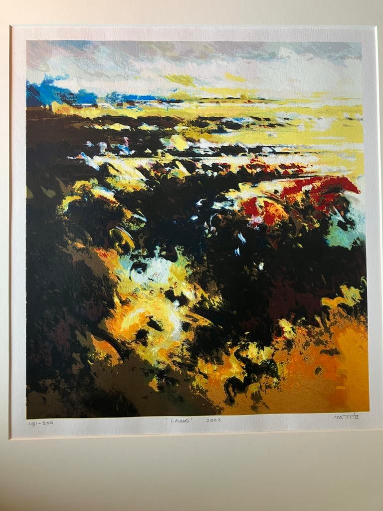 Zeefdruk 'Land' van Mattie Schilders (2006), 2000 tot heden, Genummerd, Ophalen of Verzenden, Landschap