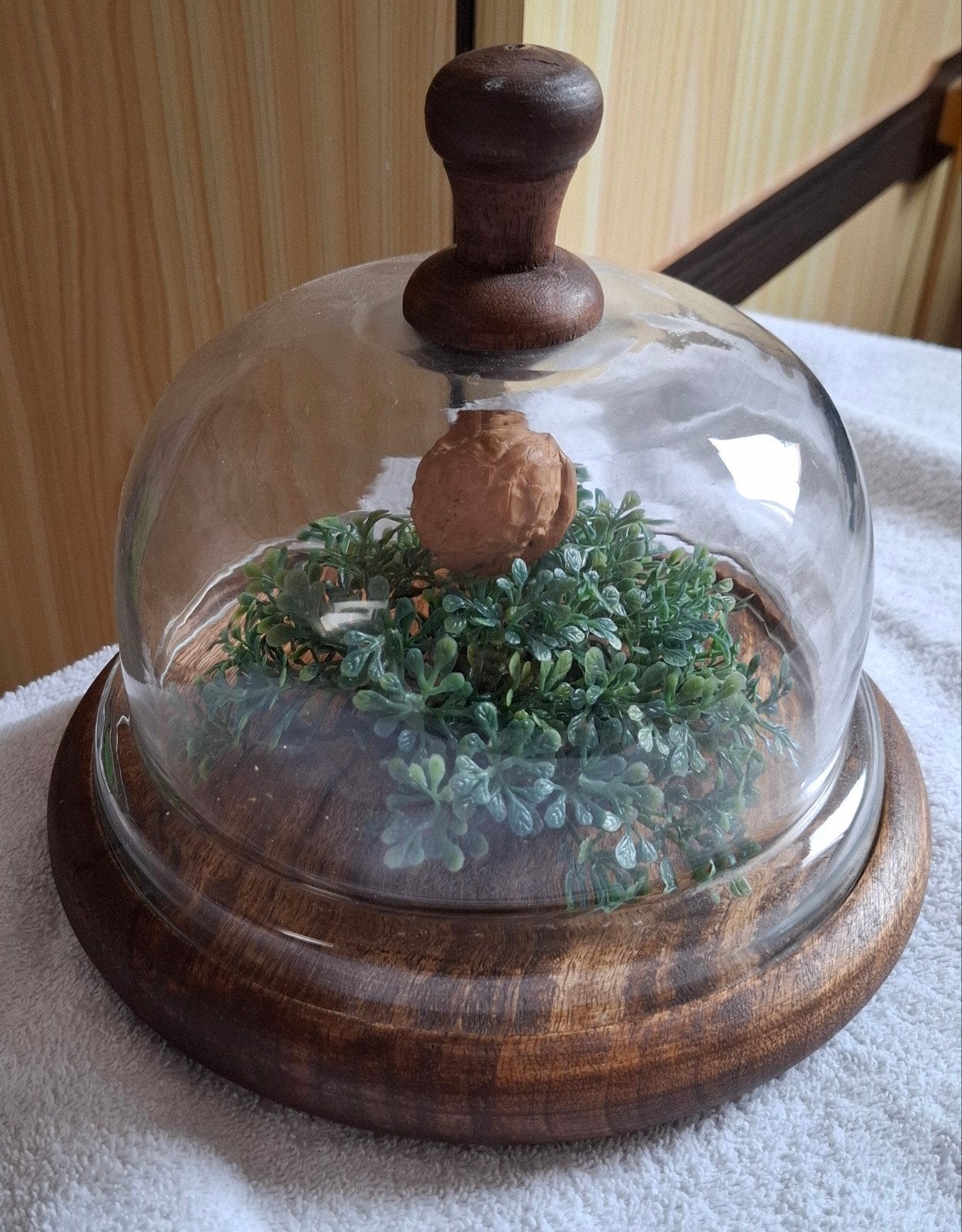 Glazen stolp met houten voet - diameter 21 cm, hoogte 20 cm, Vintage, Ophalen of Verzenden, Zo goed als nieuw, Glas