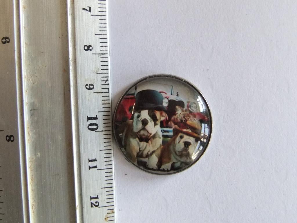 Bull dog pin(speldje), Verzenden, Nieuw, Dier of Natuur