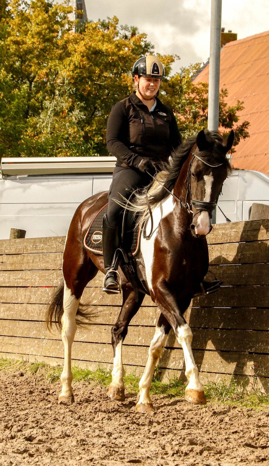 Luxe 4 jarige Barock Pinto Stermerrie, Dieren en Toebehoren, Merrie, Met stamboom, Dressuurpaard, Zadelmak