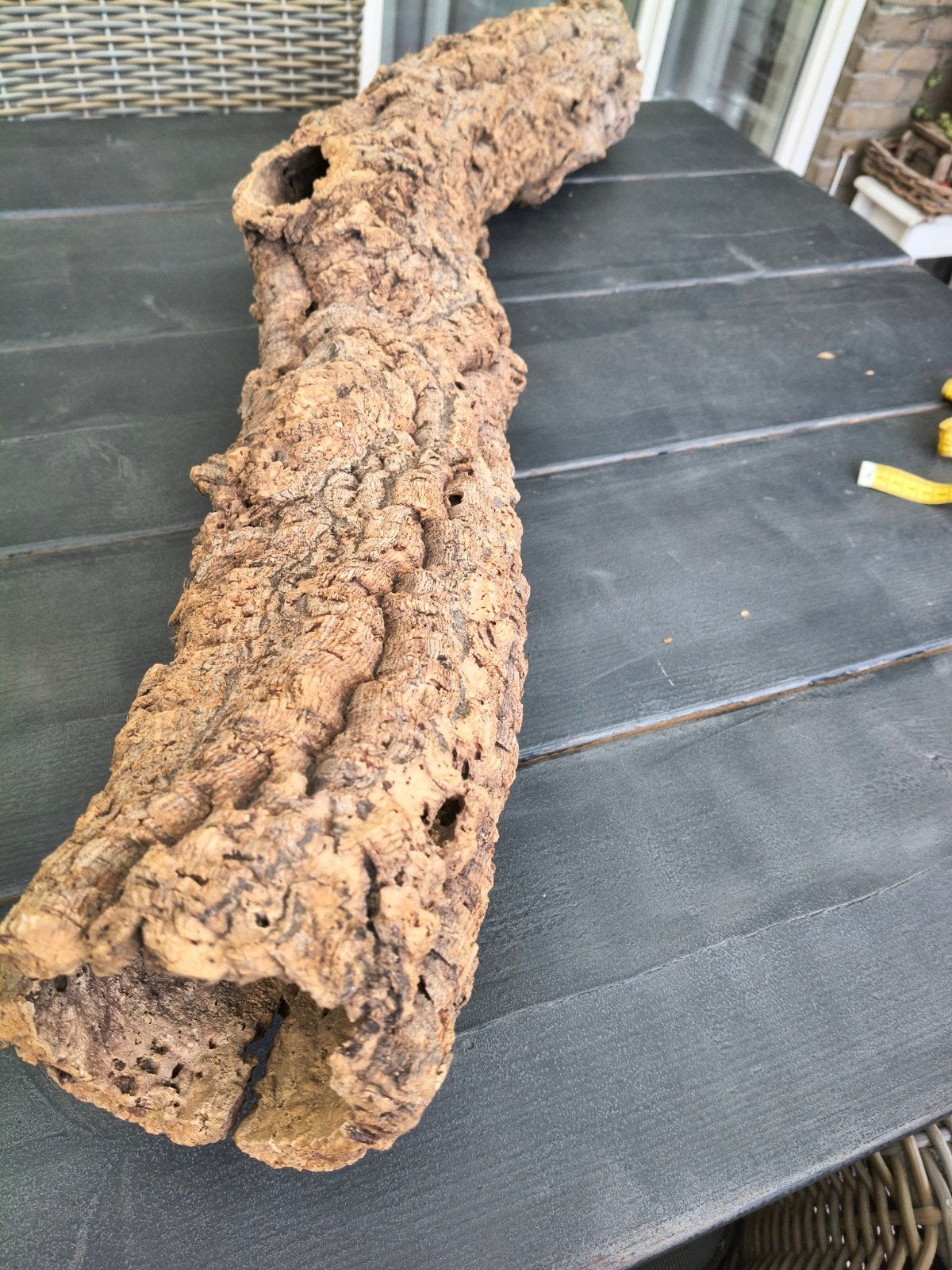 Boomstam van kurk, Ophalen, Natuurlijk materiaal, Landelijk