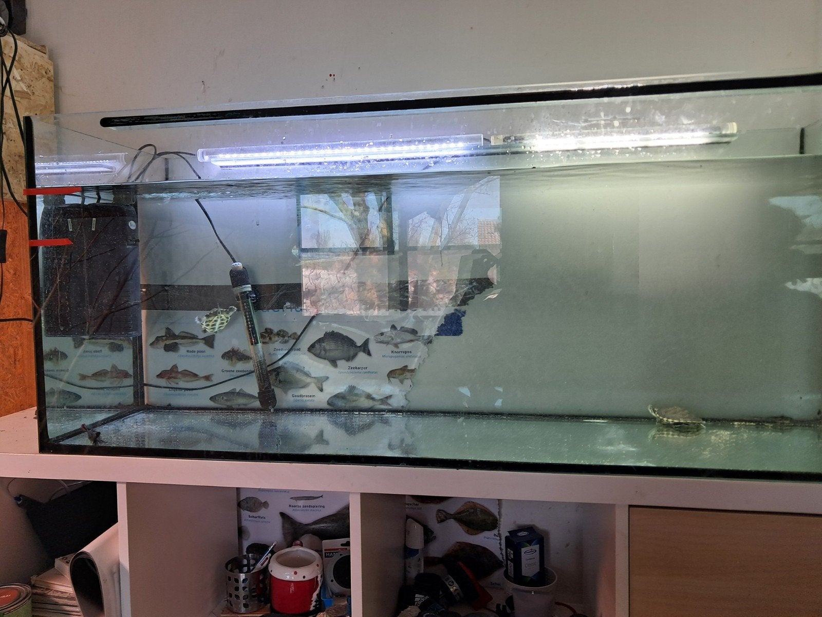 aquarium 120 m, Dieren en Toebehoren, Ophalen of Verzenden, Inclusief vissen, Overige typen