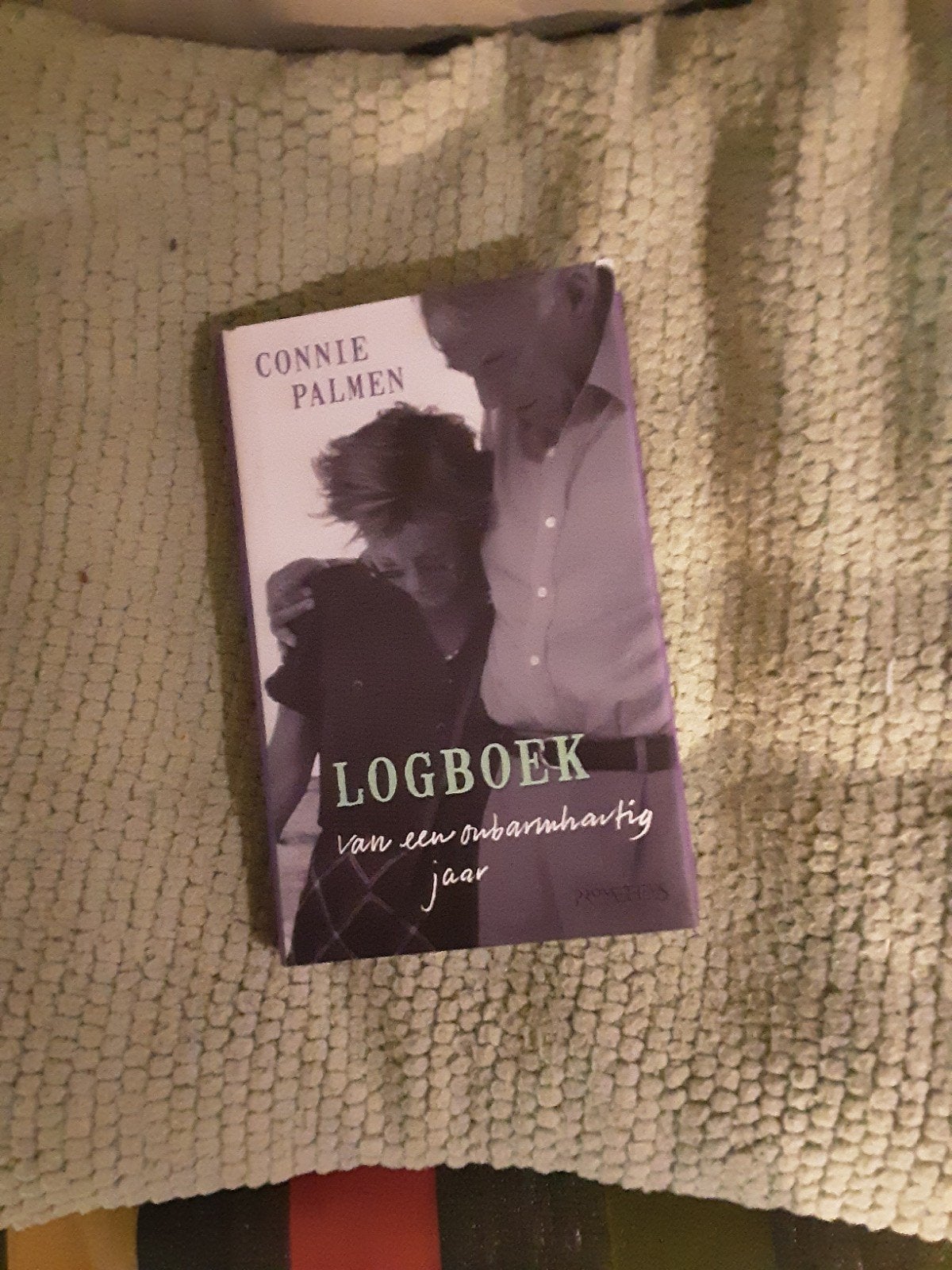 Connie Palmen-------Logboek, Boeken, Romans, Zo goed als nieuw, Nederland, Ophalen of Verzenden