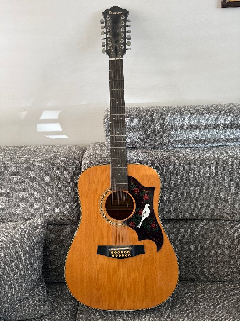 Ibanez Vintage 12 sn. gitaar (model V302), Ophalen of Verzenden, Gebruikt, Western- of Steelstringgitaar, 12-snarig